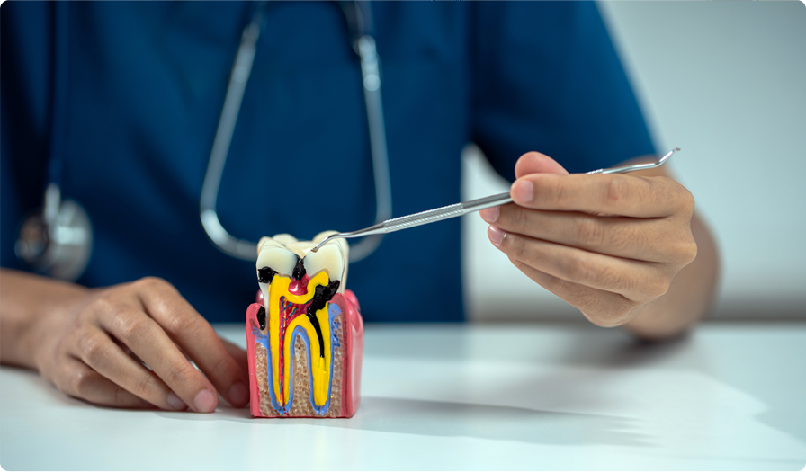 dentist examining patient